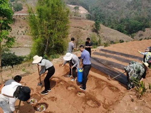 深化黨史學(xué)習(xí)教育助力鄉(xiāng)村振興發(fā)展